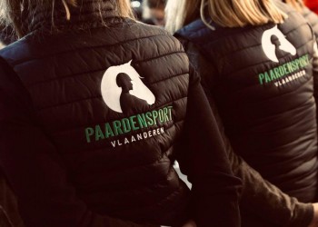 Vacature: Paardensport Vlaanderen zoekt sporttechnisch medewerker voor opleidingen en sportkampen