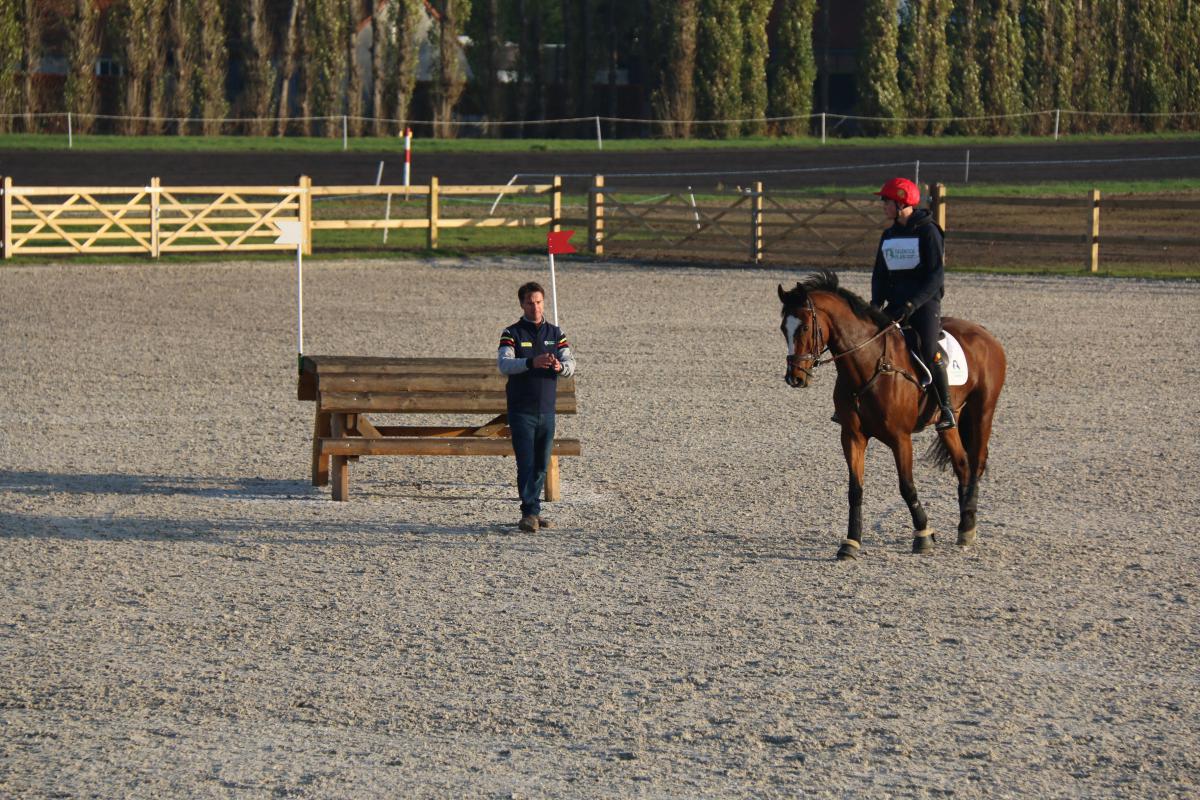 Paardensport Vlaanderen