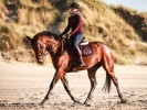 Medewerker in de Kijker: Marlies De Smet