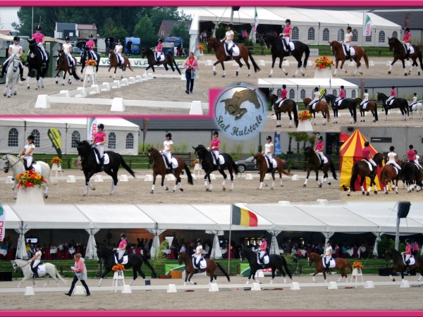 Dressuur: Debuut demoteam Flanders Dressage Event