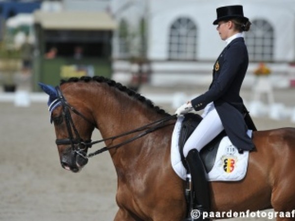 Dressuur: WK-gangers winnen Belgisch kampioenschap jonge paarden – Beker van België jeugd