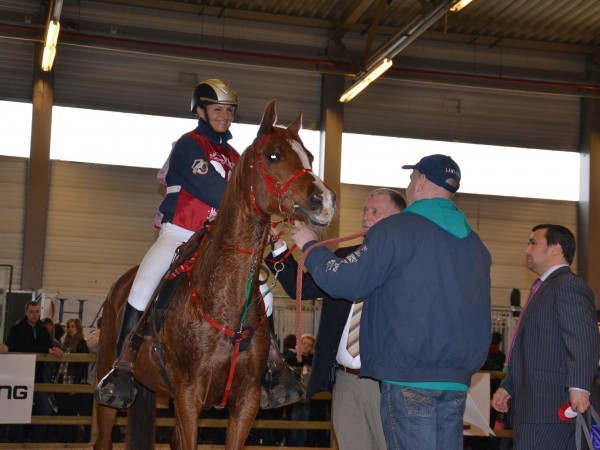 Endurance: discipline in de kijker op Flanders Horse Expo!