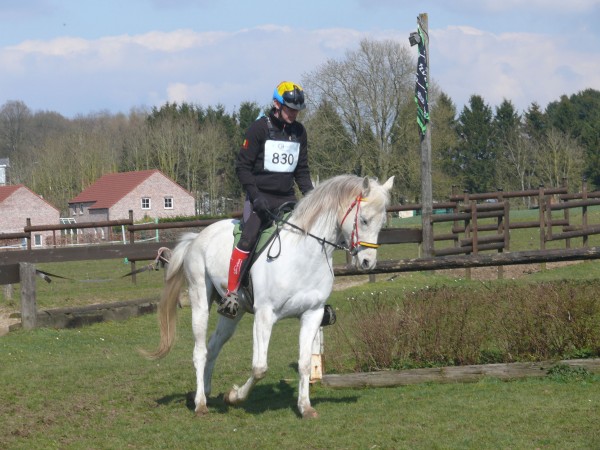 Endurance: FEI organiseert opleidingen voor officials