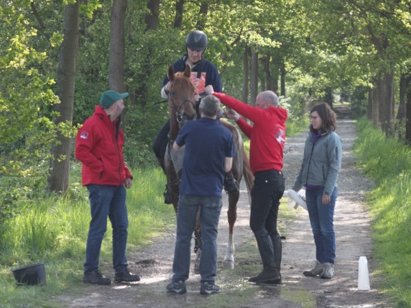 Endurance: David Permentier tweede in hoogste reeks CEN Stekene