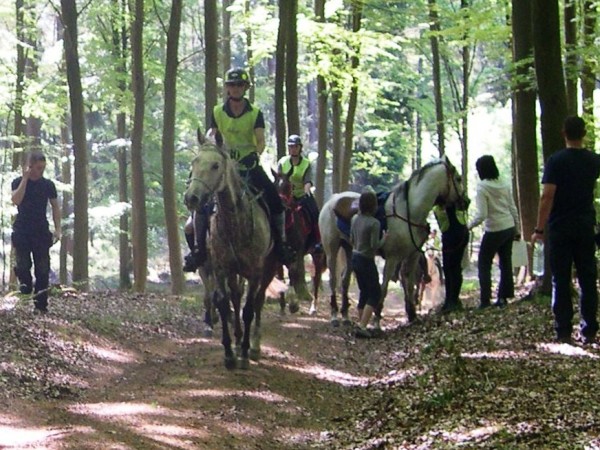 Ingrid Celen en Freddy Meurens winnen Master Endurance Award !