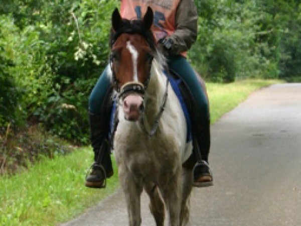 Endurance: Laatste halte Flanders Endurance Cup 2010