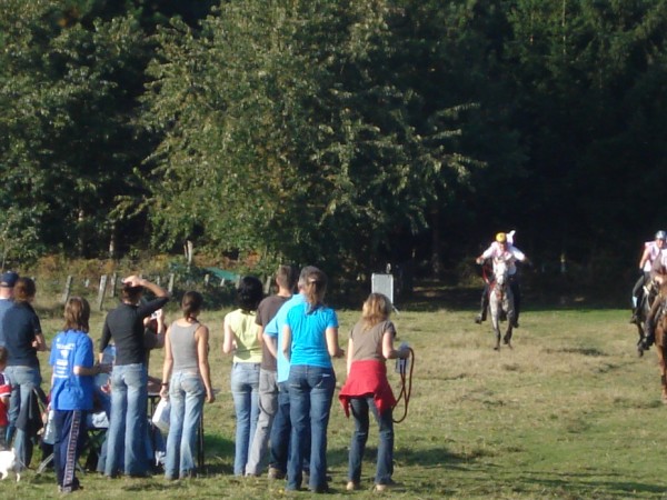 Internationale CEI** in Vlaanderen !