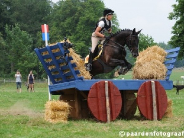 Eventing: VLP-oefenstage met Leentje Onderbeke !