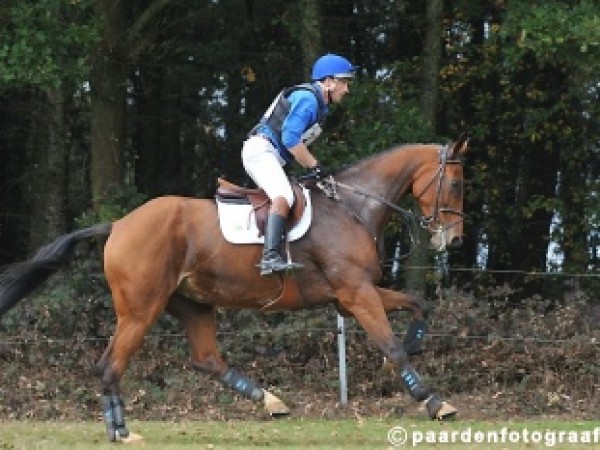 Eventing: Pechdag voor Belgen - Vanspringel sterk