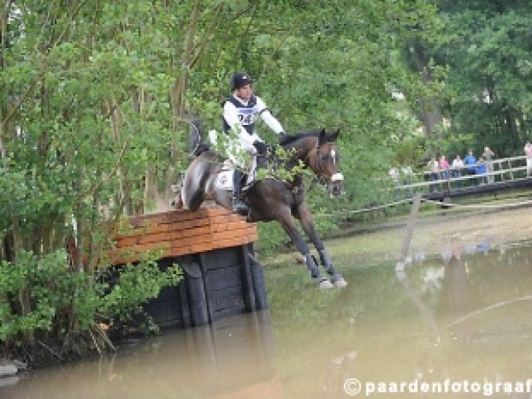 Eventing: Wijzigingen inschrijvingsgeld wedstrijden