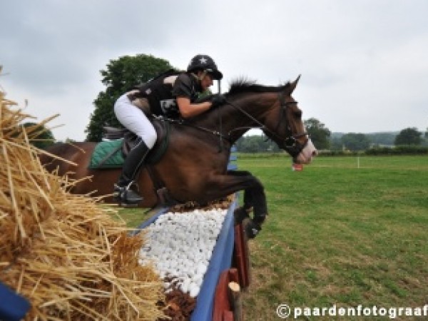 Eventing: wijziging data Beker van België B(90)/PB(90) en Belgisch Kampioenschap Pony's