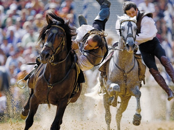 Flanders Horse Expo 2012 komt er aan!