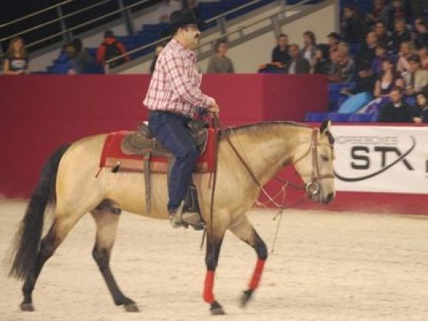 Terugblik op Flanders Horse Expo 2012 - foto