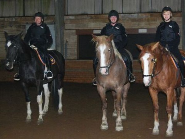 Ga voor Galop: lessen halverwege !