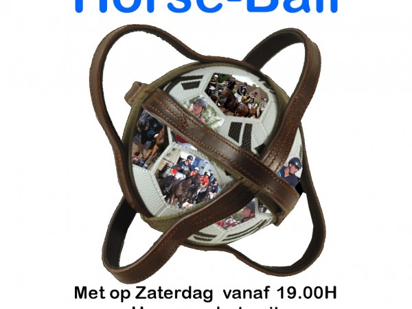 Horse-ballwedstrijd op 15-16 mei