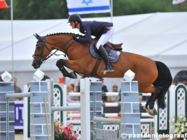 Jumping: Resultaten internationaal