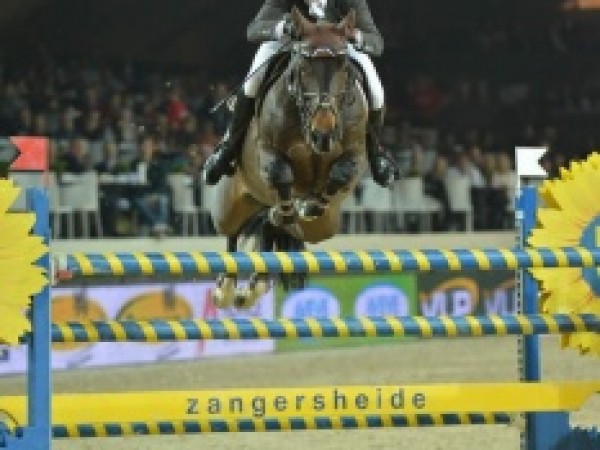 Jumping: Resultaten VLP-ruiters internationaal 09/01 - 12/01