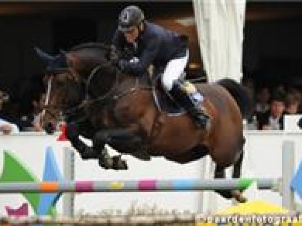 Jumping: Team CSIO La Baule