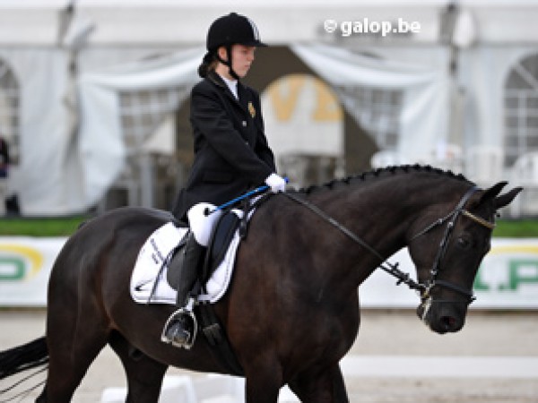 Para-equestrian: Resultaten internationaal 16/06-19/06