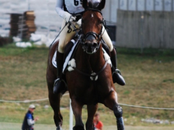 Clubs: trainingsstage met Karin Donckers op 15 november in Schaffen