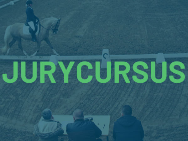 Dressuur: jurycursus jonge paarden