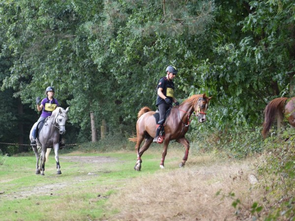 Endurance: CEN Beernem verwelkomt nieuwe deelnemers