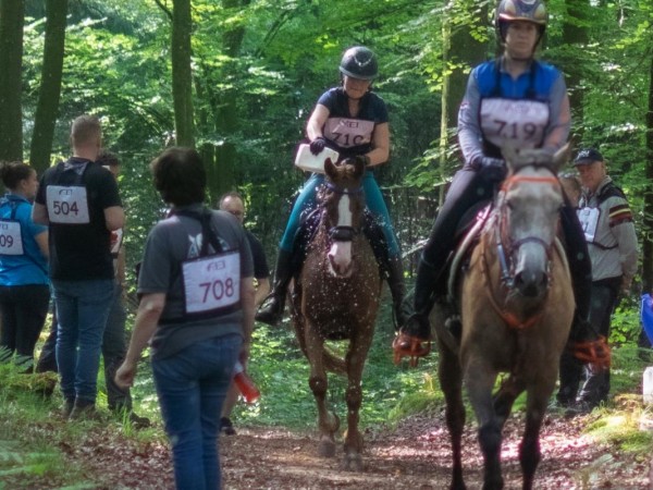 Endurance: CEI Etalle