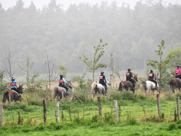 Endurance: CEN Beernem kent de Belgische kampioenen 5- en 6-jarigen