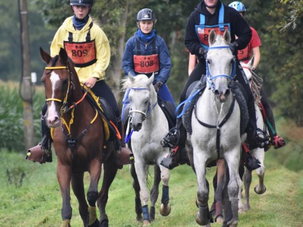 Endurance: Juniors & Young Riders Paardensport Vlaanderen in de kijker tijdens CEN Beernem
