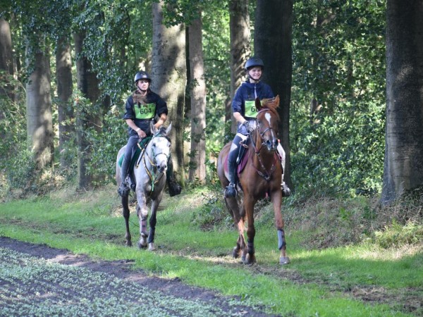 Endurance: online infosessie