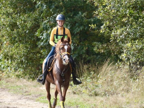 Endurance: Seizoensafsluiter 2024 te Peer