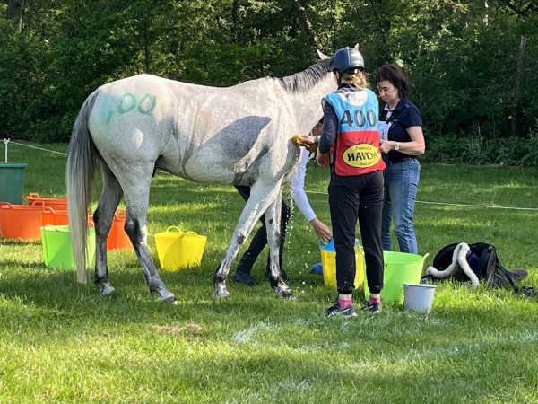 Endurance: Winst voor Lisa Van Gestel te Well (NL)