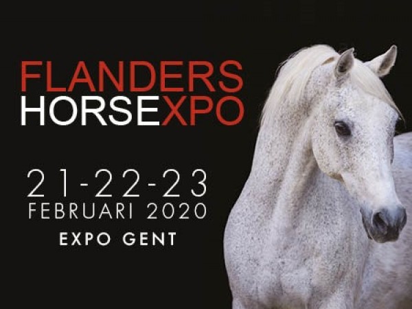 Clubs: Bestel samen met je club voordeeltickets voor Flanders Horse Expo