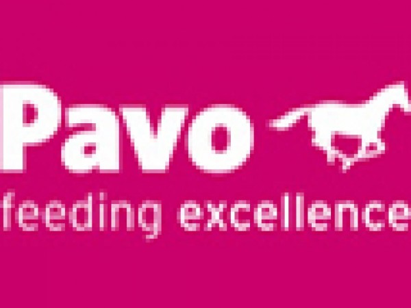 Jumping: Start Pavo Hengstencompetitie 2020!