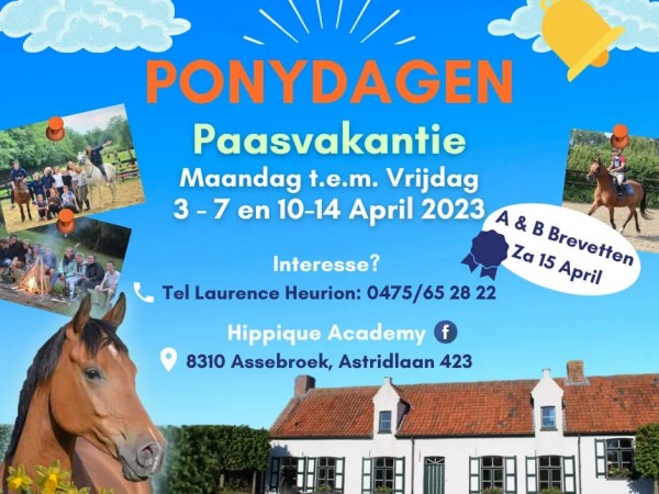 Clubs: Hippique Academy organiseert ponydagen