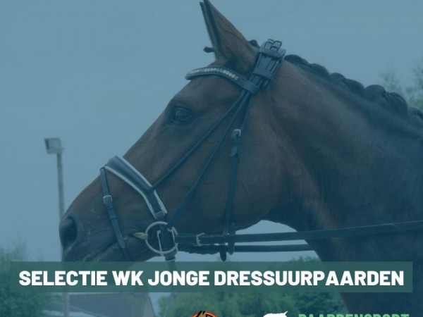 Namen eerste selectie WK Jonge Dressuurpaarden zijn bekend