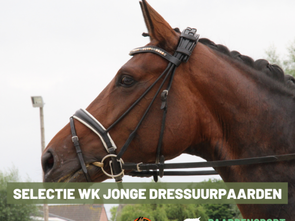 Dressuur: Selectieprocedure WK Jonge Paarden 2022