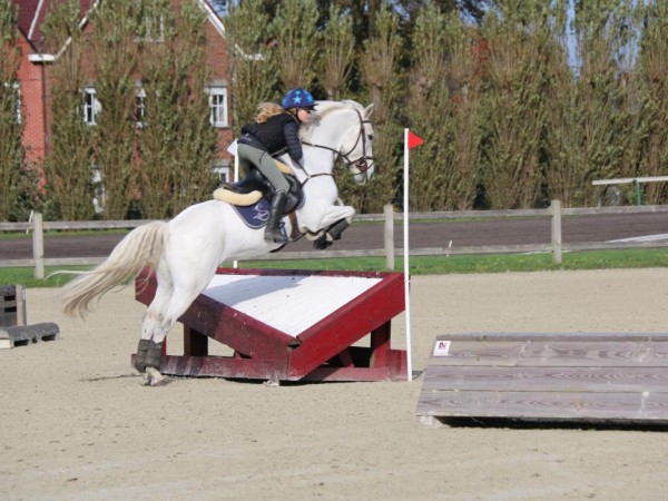 Eventing: Wijziging kalender september