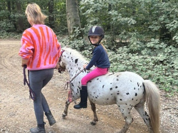 Wolvenroedel in Limburg verscheurt op korte tijd 9 pony's. Dringende oproep om maatregelen.