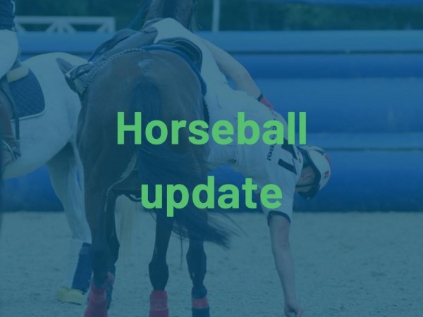 Horseball: Voorzichtig positief nieuws!