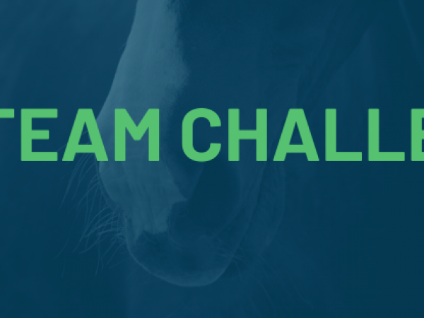 Dressuur: Stem op je favoriete kür in de FHE Team Challenge