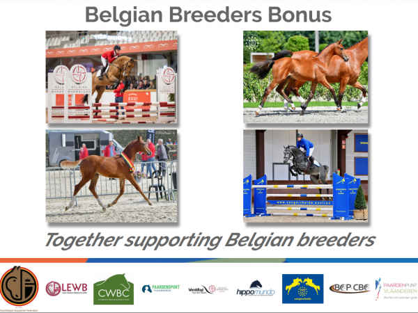 Supporting Belgian Breeders Together: Paardensport Vlaanderen zet haar schouders mee onder de Belgian Breeder's Bonus!