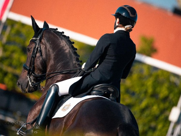 Dressuur: Reglement Paardensport Vlaanderen 2024 gepubliceerd