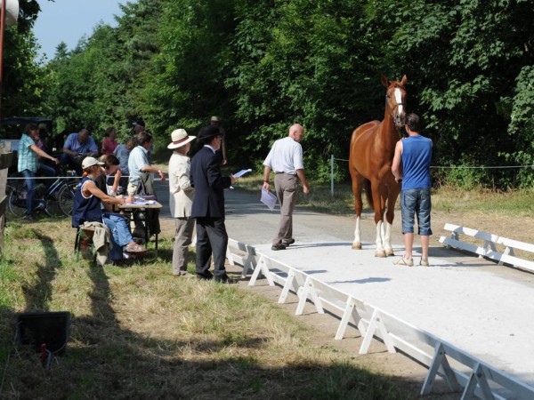 Officials: Km-vergoeding aangepast