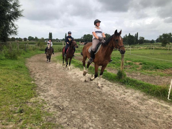 Sportkampen: Zoek je nog een leuke activiteit tijdens de zomervakantie?