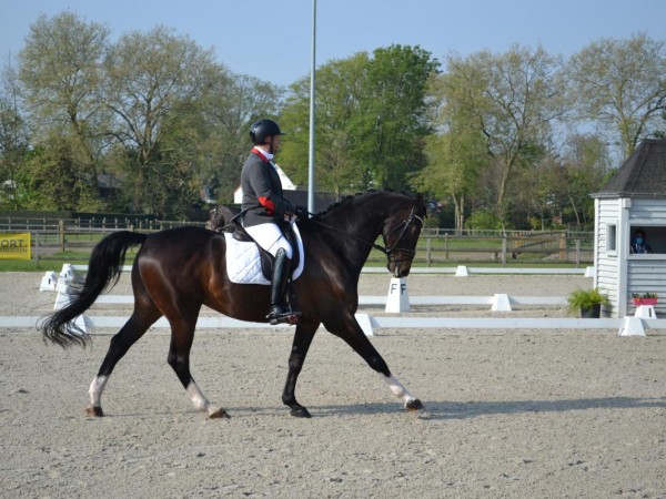 Para-dressuur: opleiding tot National Classifier