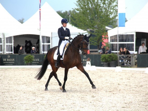 Dressuur: Nationaal reglement 2025 gepubliceerd: belangrijke wijziging Beker van België voor Jonge Dressuurpaarden en pony's