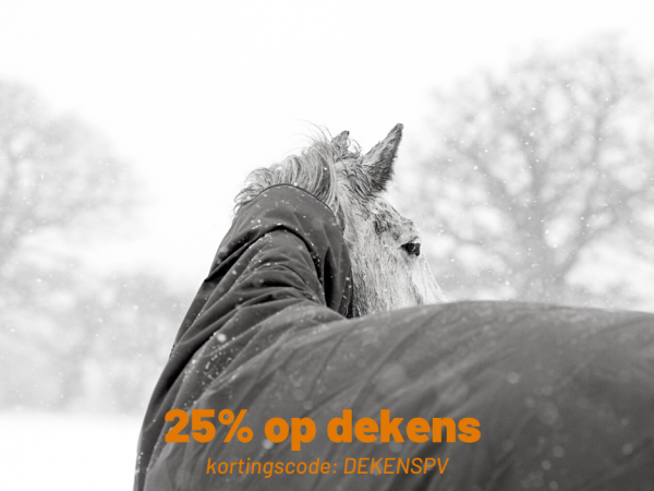 Algemeen: Dekenwijzer van Epplejeck