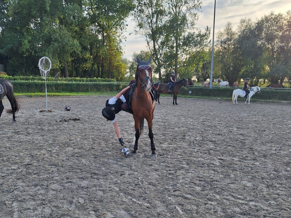 Horseball: initiatie horseball in het Snippenhof