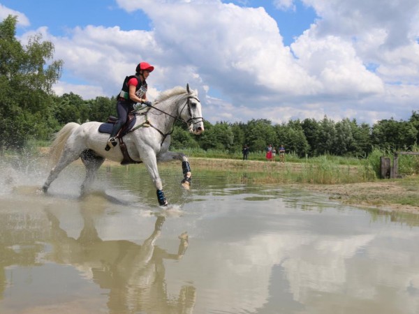 Eventing: Update kalender